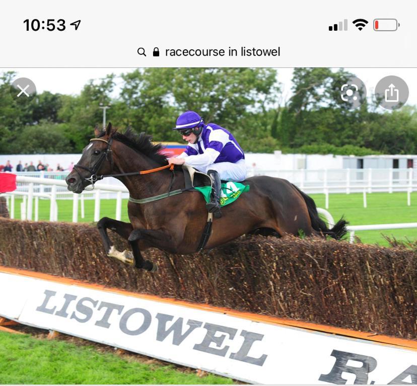 Racecourse View Otel Listowel Dış mekan fotoğraf