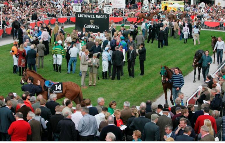Racecourse View Otel Listowel Dış mekan fotoğraf